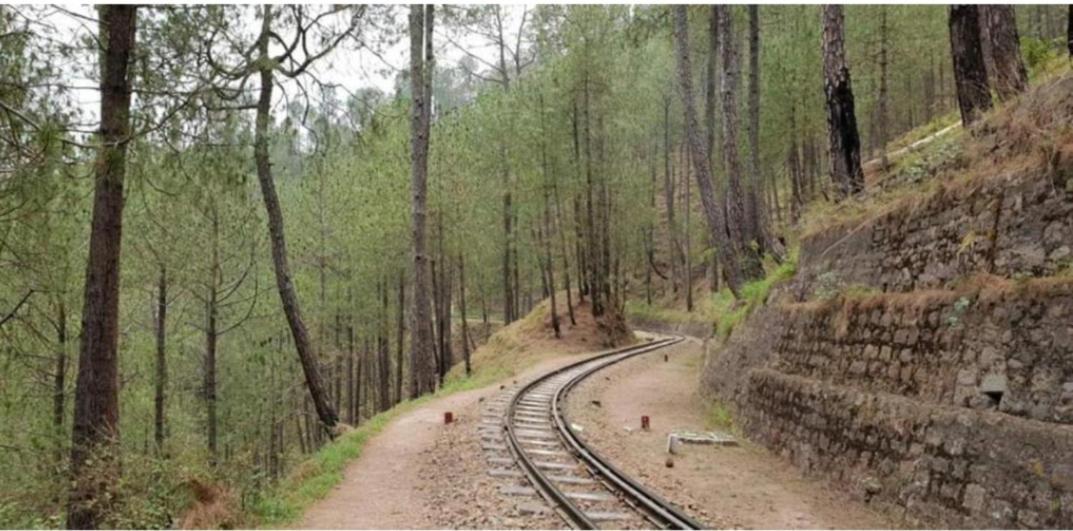 Mountain Mist Inn I Serviced Apt I Open Air Lawn & Rooftop I Bonfire I By Exotic Stays Kasauli Eksteriør bilde